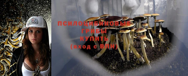 первитин Бородино