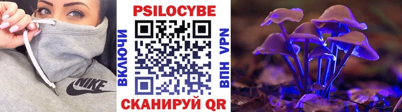Псилоцибиновые грибы Magic Shrooms  Гремячинск 